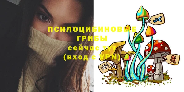 mix Арсеньев