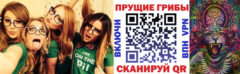 наркота  Хотьково  Галлюциногенные грибы Cubensis 